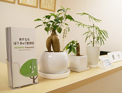 あすなろはり・きゅう整骨院